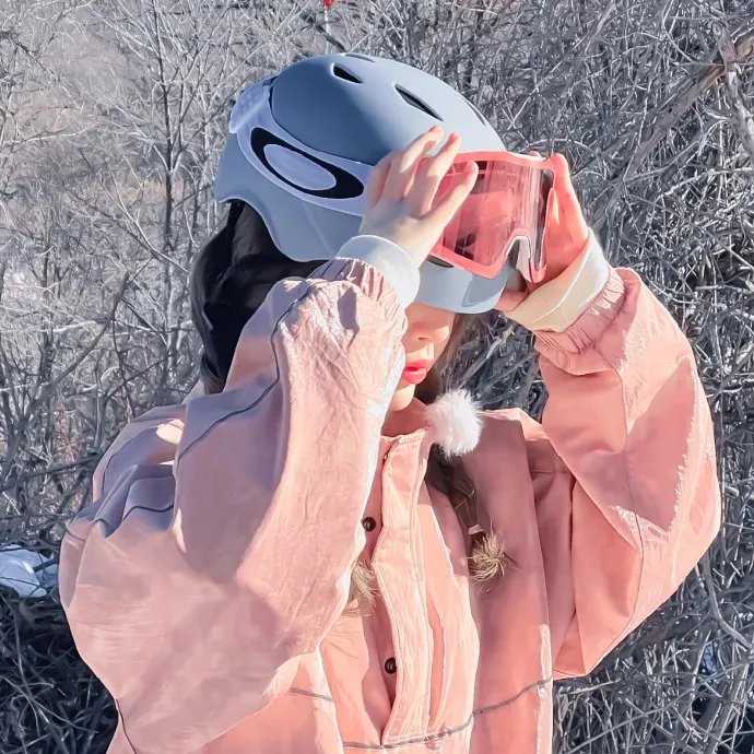 哥斯拉对美加洛